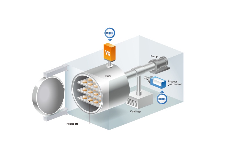 Freeze Dry Freeze Dry